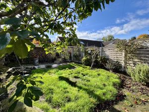 Side Garden- click for photo gallery